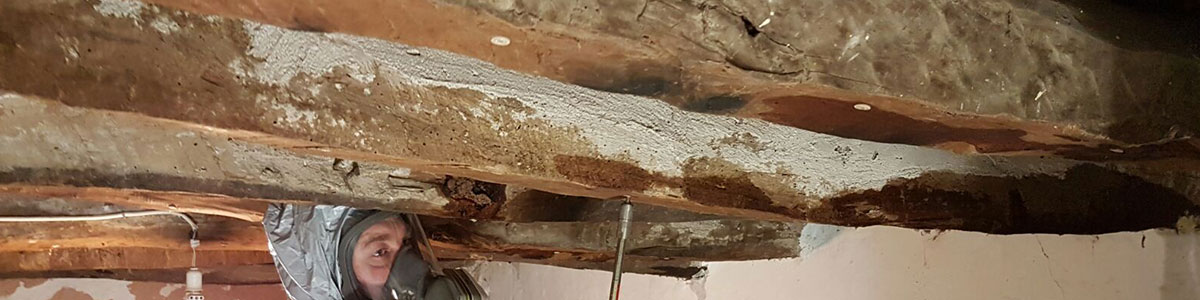 Traitement de charpente  à Frejus (83600), FD Couverture dans le Var 83